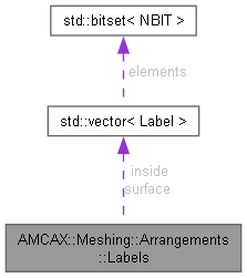 AMCAX Kernel: AMCAX::Meshing::Arrangements::Labels Struct Reference